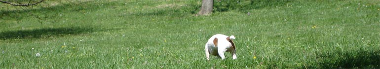 Entirely Totally free stay very younger gay porno web cams header image 2